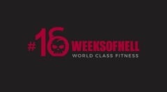 16 WEEKS OF HELL WORLD CLASS FITNESS