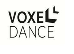 VOXEL DANCE
