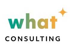 what CONSULTING