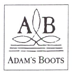 AB ADAM'S BOOTS