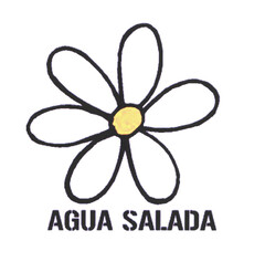 AGUA SALADA