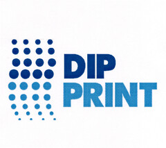 DIP PRINT