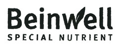 Beinwell SPECIAL NUTRIENT