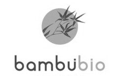 BAMBUBIO