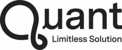 QUANT LIMITLESS SOLUTION