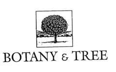 BOTANY & TREE