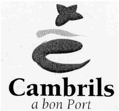 CAMBRILS A BON PORT