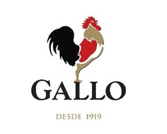 GALLO DESDE 1919