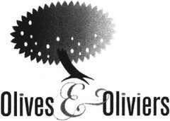 Olives Et Oliviers