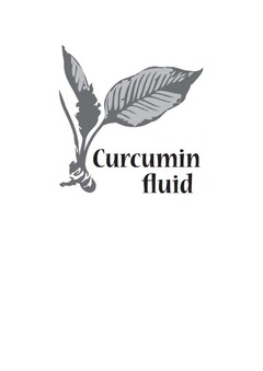 Curcumin fluid