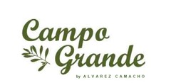 CAMPO GRANDE BY ALVAREZ CAMACHO