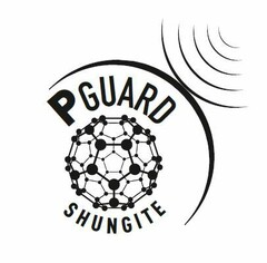 PGUARD SHUNGITE