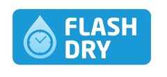 FLASH DRY