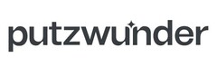 putzwunder