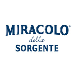 MIRACOLO della SORGENTE