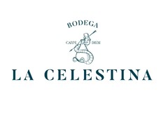 BODEGA  LA CELESTINA CARPE DIEM