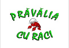 PRĂVĂLIA CU RACI