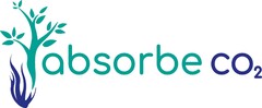 absorbe co2