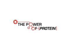 THE POWER OF PROTEIN
