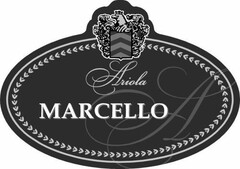 MARCELLO ARIOLA