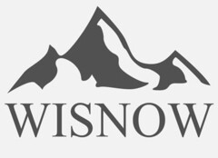 WISNOW