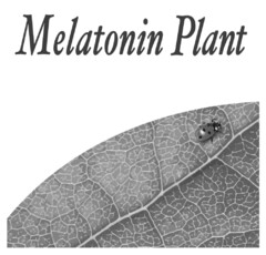 MELATONIN PLANT