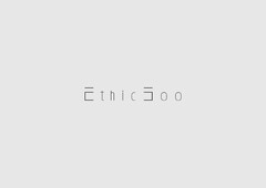 Ethic500