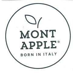 MONT APPLE  BORN IN ITALY