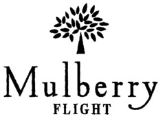 Mulberry FLIGHT
