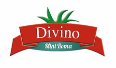 divino mini roma