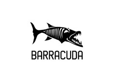 BARRACUDA