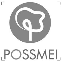 POSSMEI