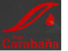 Vega Carabaña