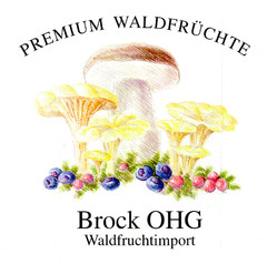 PREMIUM WALDFRÜCHTE Brock OHG Waldfruchtimport