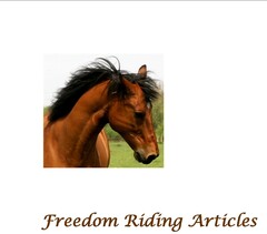 Freedom Riding Articles