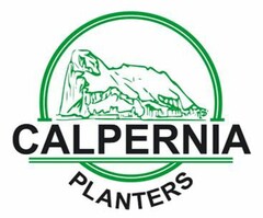 CALPERNIA Planters