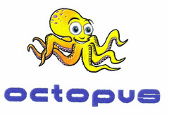 octopus