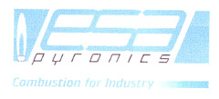 esa pyronics Combustion for Industry