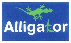 Alligator