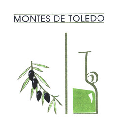 MONTES DE TOLEDO