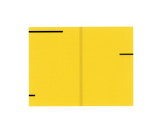 Die Marke bezieht sich auf das zweidimensionale Umschlagbild der bekannten, seit dem 10. November 1867 in reglemäßigen Abständen in der "Universal-Bibliothek" erscheinenden Bände literarischer Werke in der typischen gelben Farbaufmachung im Format ca. 9,7 cm * 11 cm (Vorderseite und Rückseite).