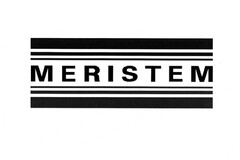 MERISTEM