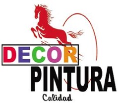 DECOR PINTURA CALIDAD