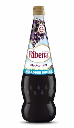 Ribena since 1938 Blackcurrant no added sugar