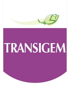 TRANSIGEM