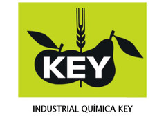 KEY INDUSTRIAL QUÍMICA KEY