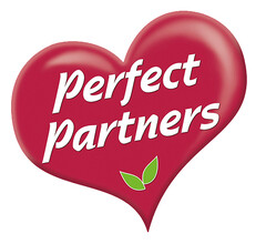 PERFECT PARTNERS