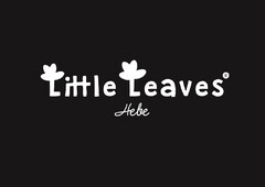 Little Leaves Hebe