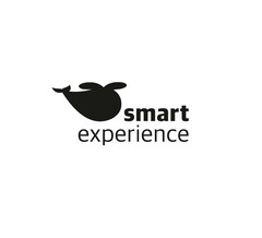 smart experience