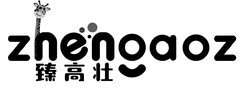 zhenoaoz